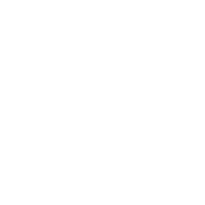 mobile van icon